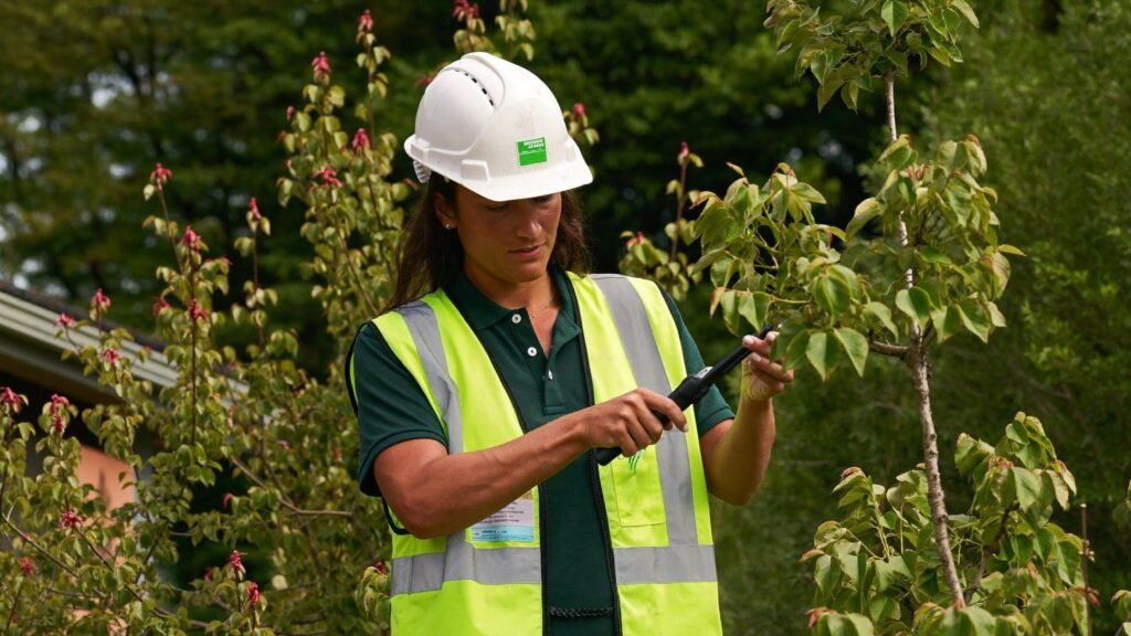 Arborist carefully pruning a young tree in Western New York