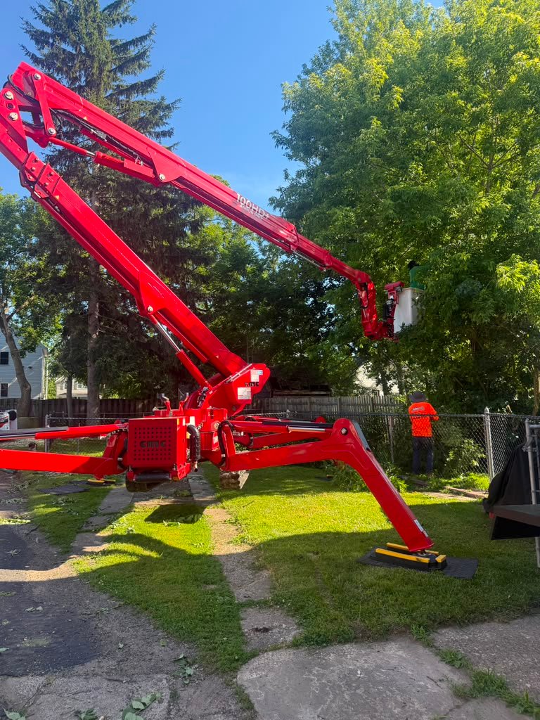 Backyard Tree Removal in Orchard Park, NY by Meta Tree Service