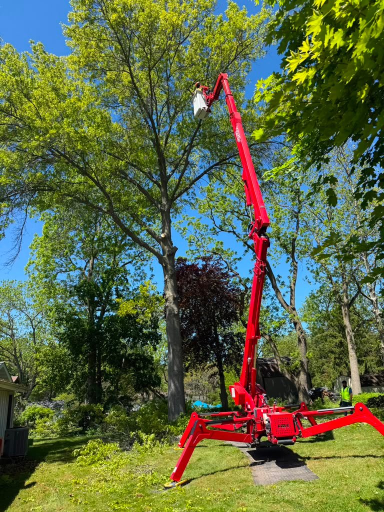 Crown Reduction in Clarence, NY by Meta Tree Service