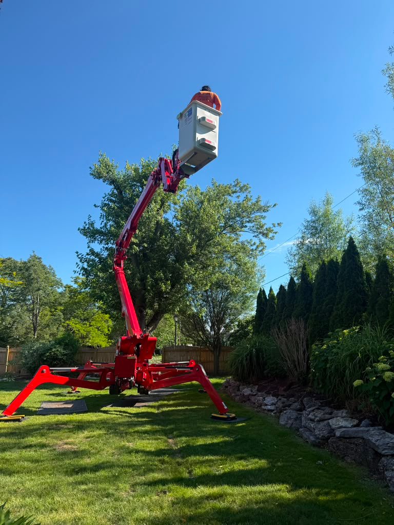 Emergency Limb Removal in Niagara Falls, NY by Meta Tree Service