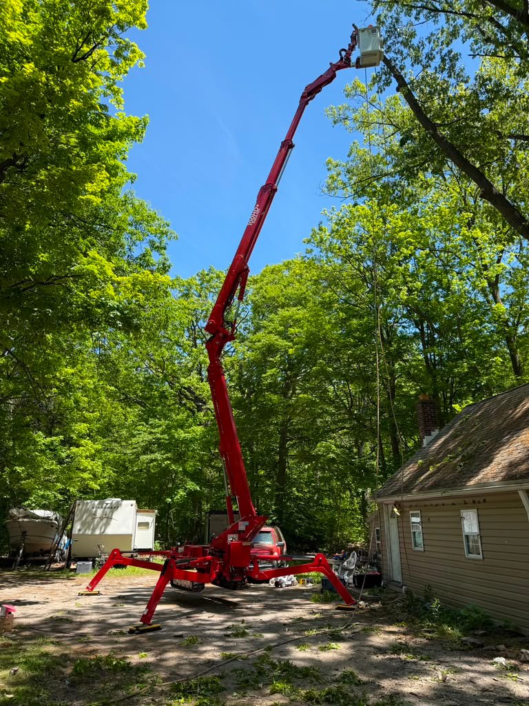 Hazardous Tree Takedown in Buffalo, NY by Meta Tree Service
