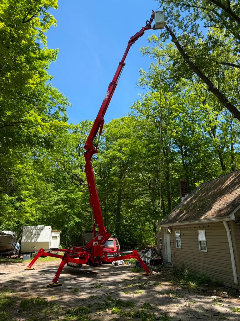 Land Clearing in Victor, NY by Meta Tree Service