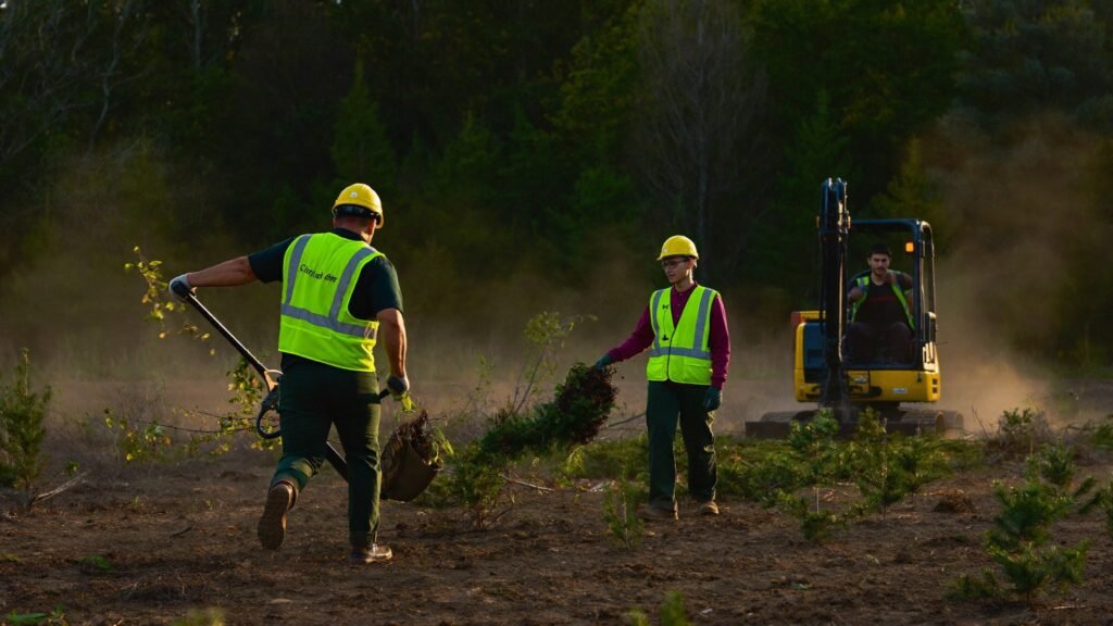 Meta Tree Service crew clearing a lot with heavy equipment
