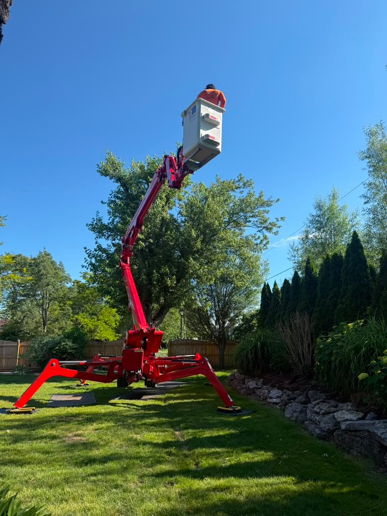 Ornamental Pruning in Penfield, NY by Meta Tree Service