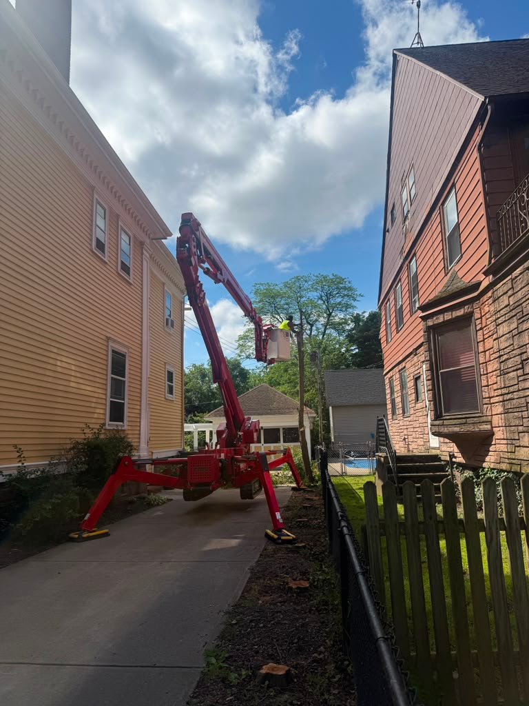 Side-Yard Access Job in Tonawanda, NY by Meta Tree Service