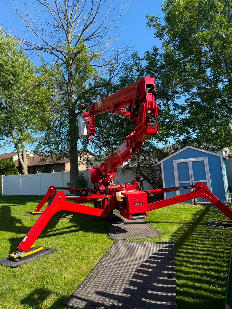 Site Cleanup in Greece, NY by Meta Tree Service
