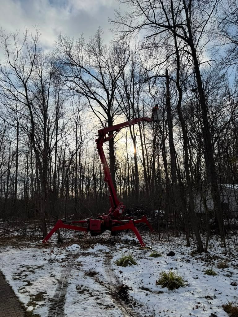 Storm Damage Cleanup in Lockport, NY by Meta Tree Service