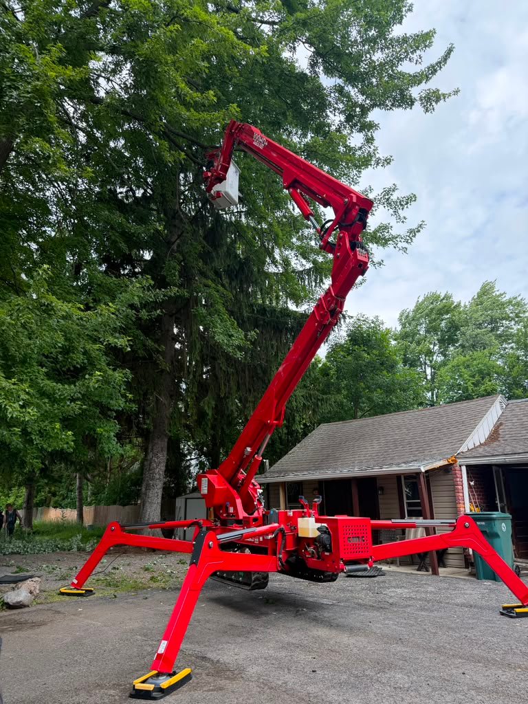 Stump & Debris Removal in Webster, NY by Meta Tree Service