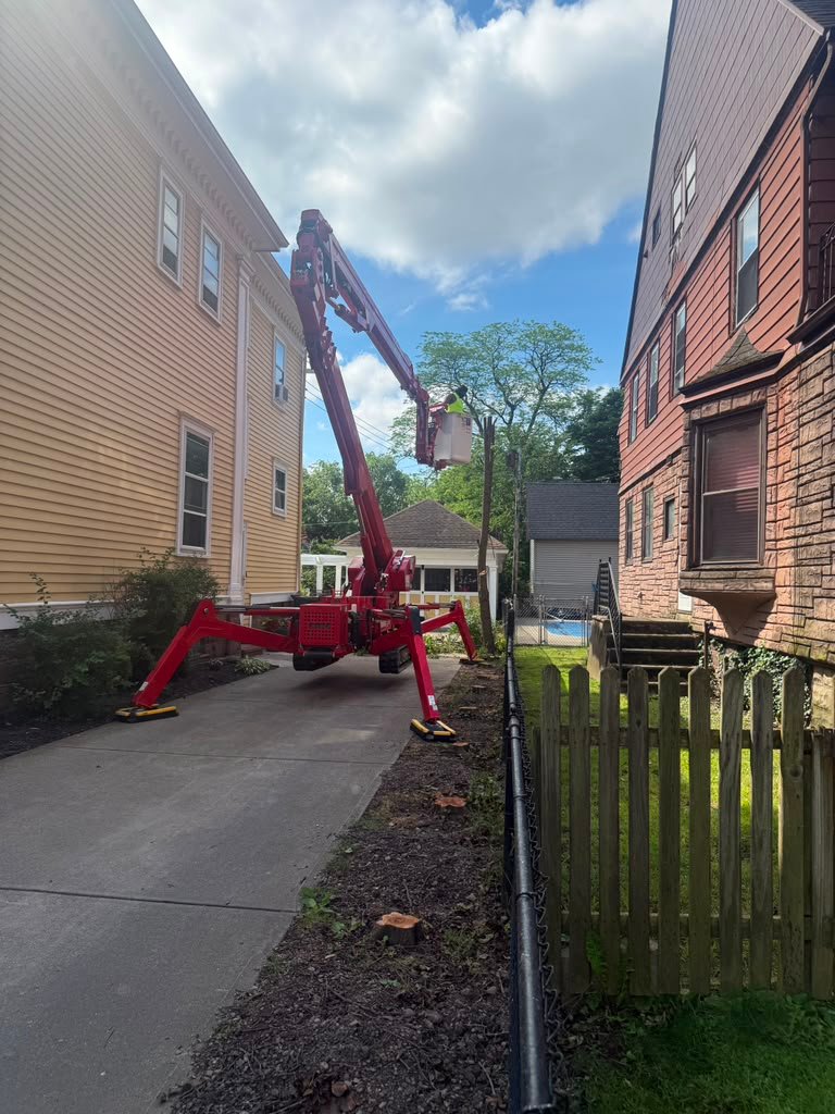Tight-Access Removal in Williamsville, NY by Meta Tree Service