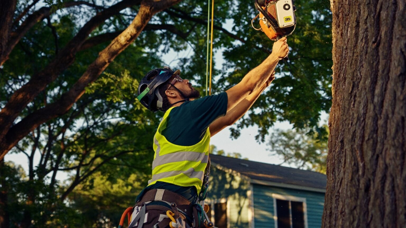 Arborist pruning a tree branch with a pole saw