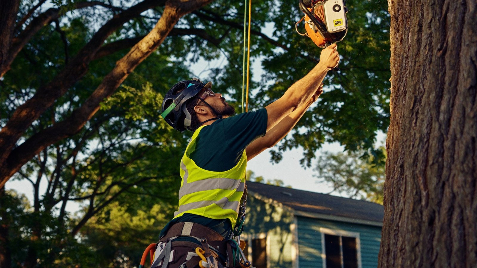 Arborist pruning a tree branch with a pole saw