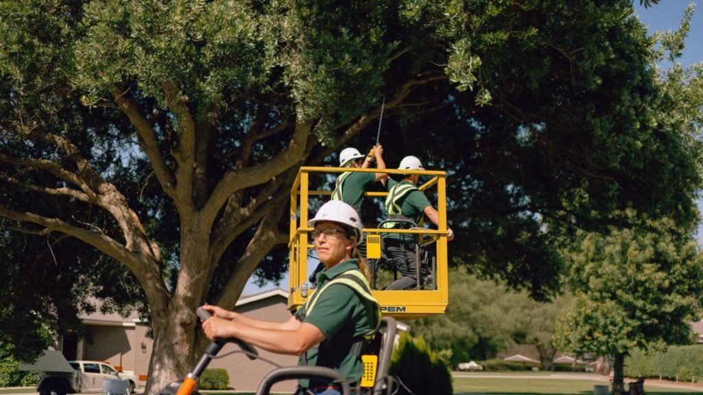 Professional tree service crew working in Canandaigua, NY
