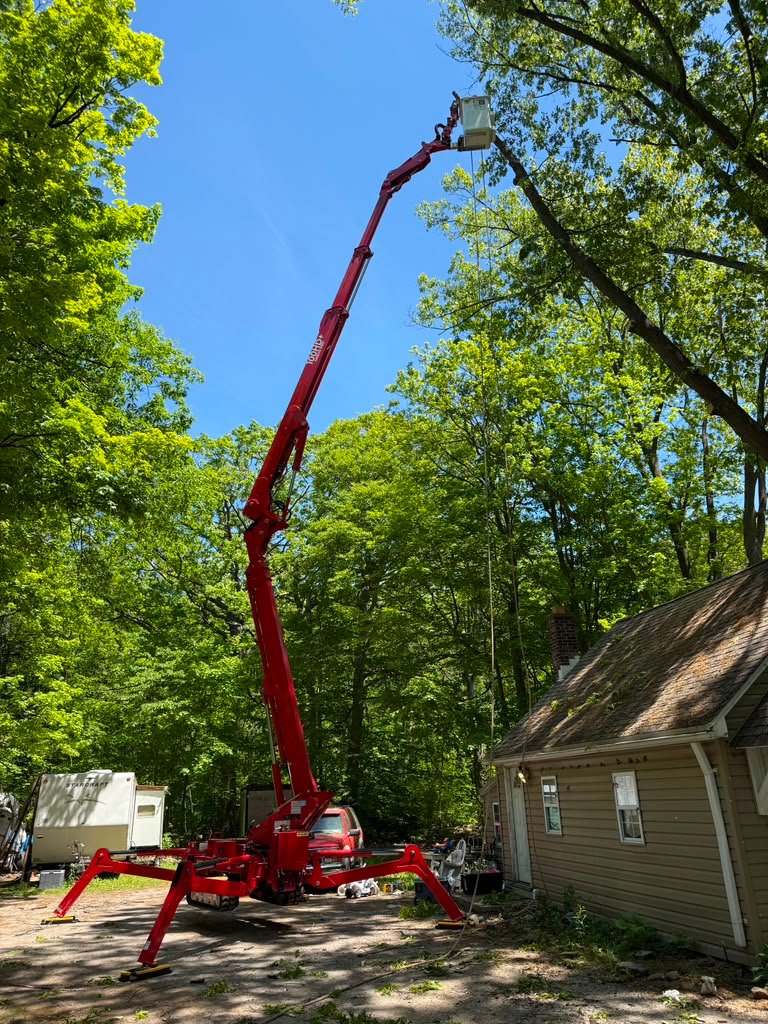 Tree Work in Progress in Rochester, NY by Meta Tree Service