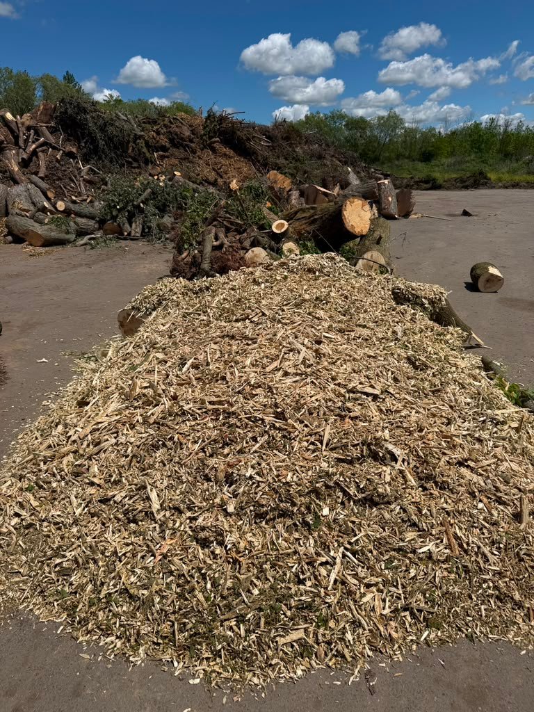 Yard Cleanup & Chipping in Hamburg, NY by Meta Tree Service