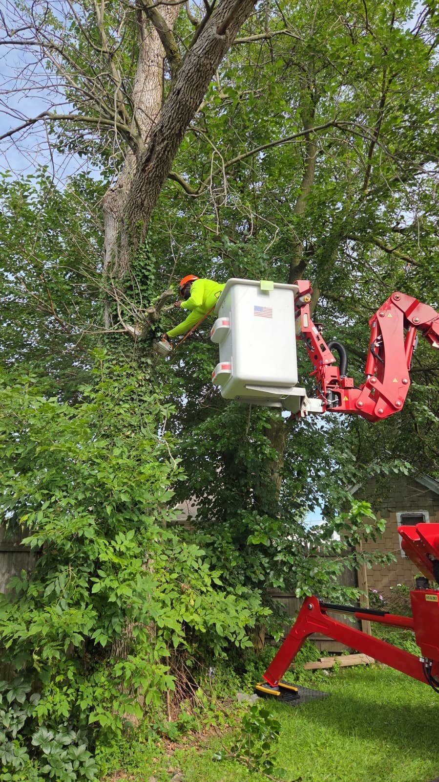 Tree worker cutting a branch from a bucket lift in a backyard