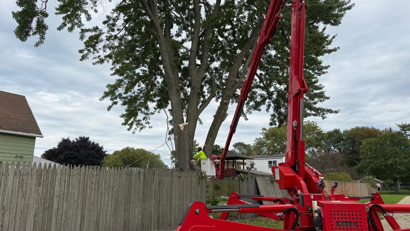 Spider lift extended over a fence for large tree removal