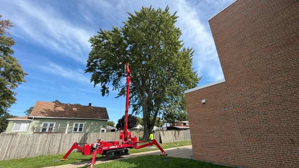 Red spider lift positioned beside a large tree near residential buildings