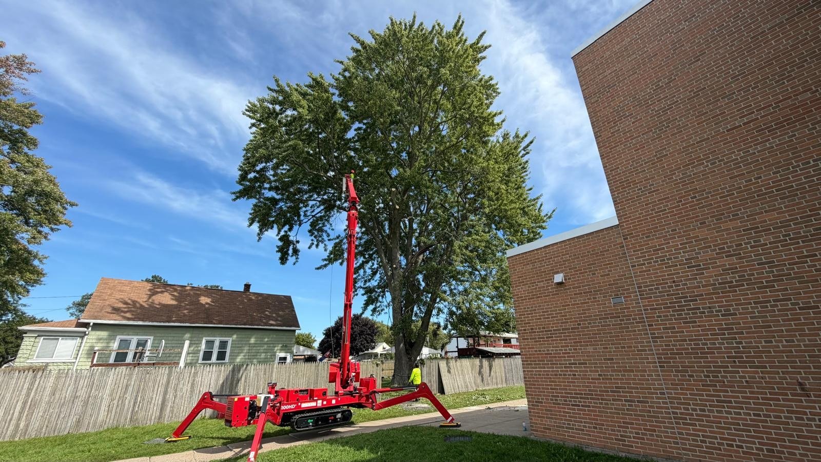 Red spider lift positioned beside a large tree near residential buildings