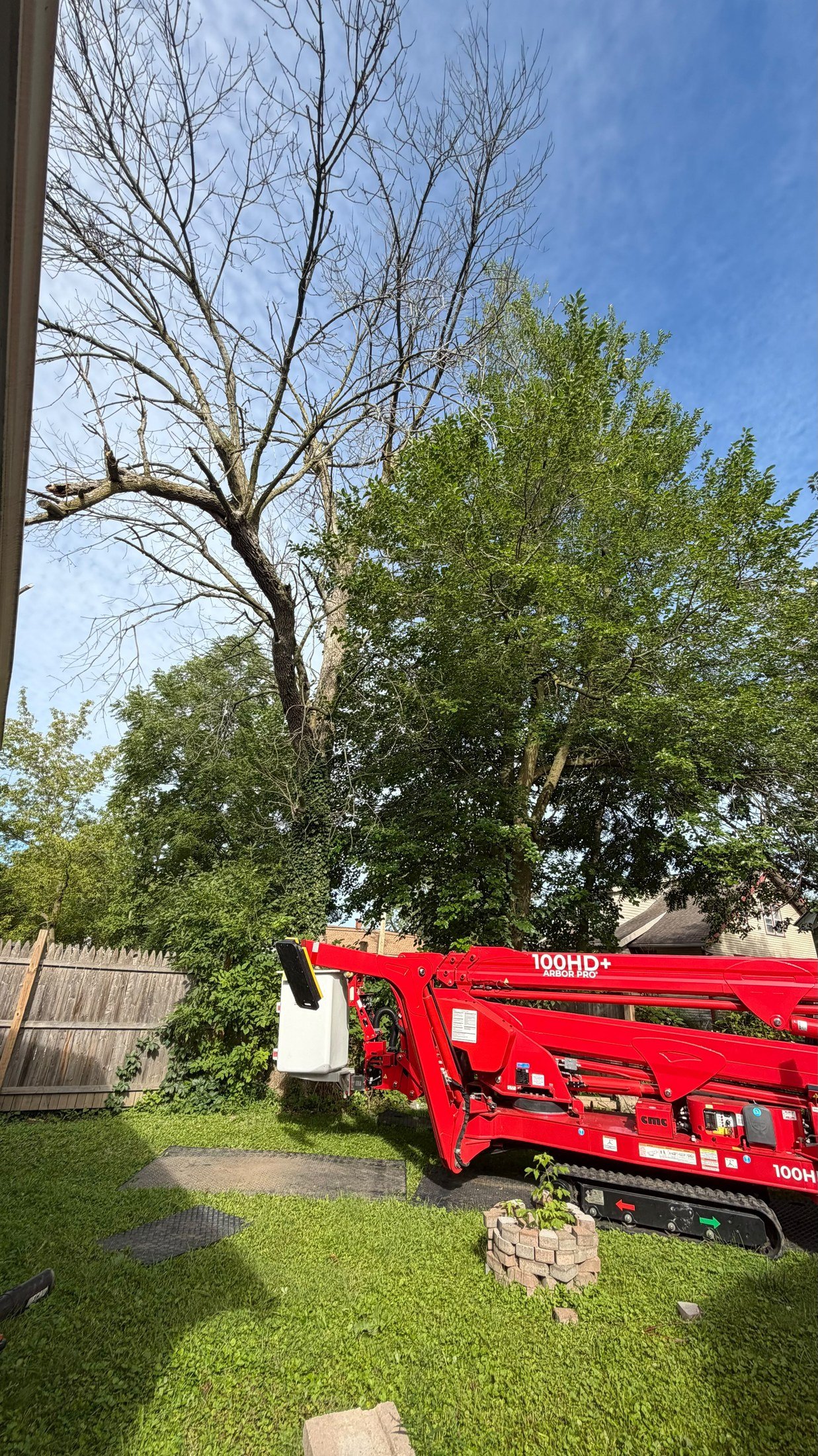 Compact red spider lift set up beside a tree in a backyard