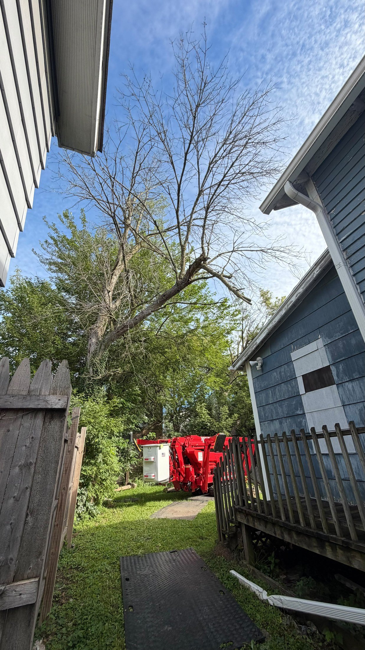 Tree and compact lift positioned in a narrow yard between homes