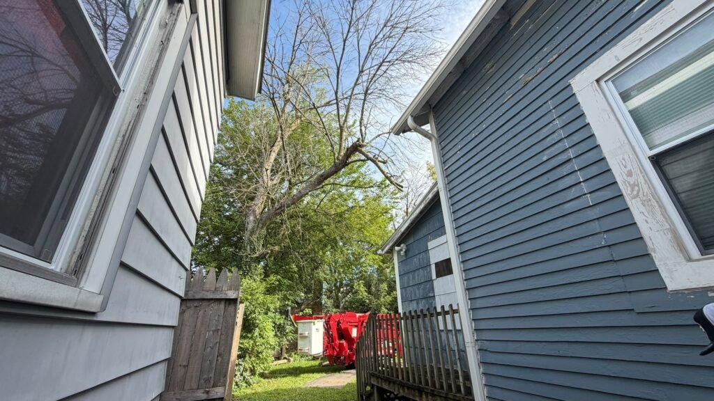 Tree growing between two homes with a compact lift in the backyard