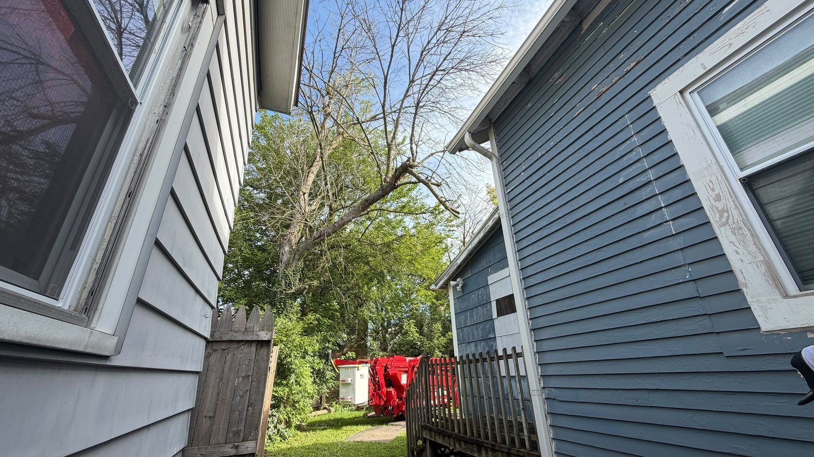 Tree growing between two homes with a compact lift in the backyard